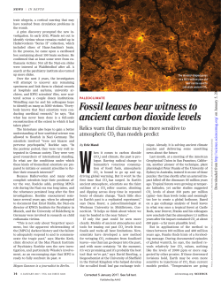 Fossil leaves bear witness to ancient carbon dioxide levels