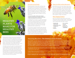 healthy plants make for healthy bees