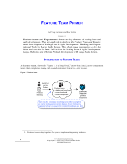 feature team primer