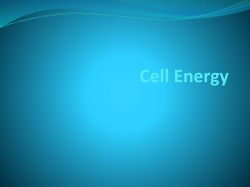 Cell Energy