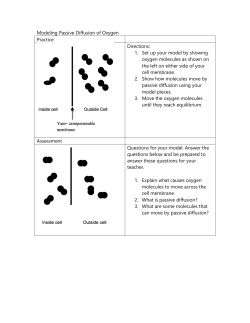 Modeling Cell Transport Directions