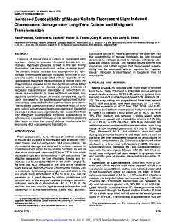 Increased Susceptibilityof Mouse Cells to Fluorescent Light