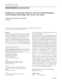 Insights into root growth, function, and mycorrhizal abundance from