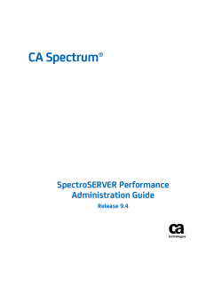 CA Spectrum SpectroSERVER Performance