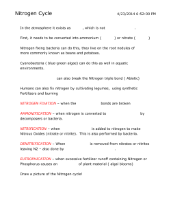 AMMONIFICATION &ndash; when nitrogen is converted to by decomposers