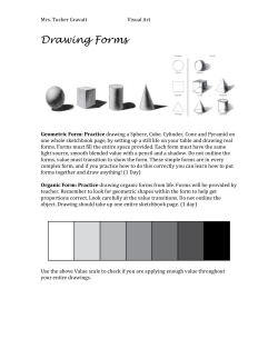 Drawing Geometric and Organic Forms Practice