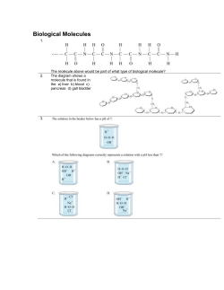 Biological Molecules - Eric Hamber Secondary