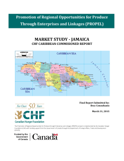 market study - jamaica - World University Service of Canada