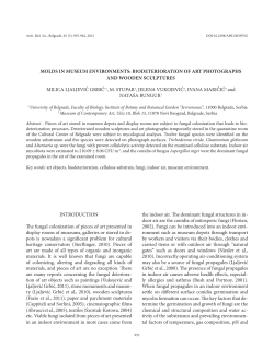 Molds in museum environments: Biodeterioration of art photographs