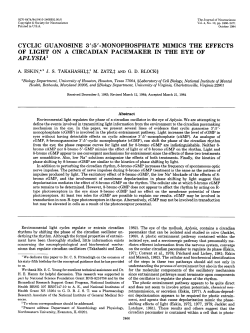 CYCLIC GUANOSINE 3`:5`-MONOPHOSPHATE MIMICS THE