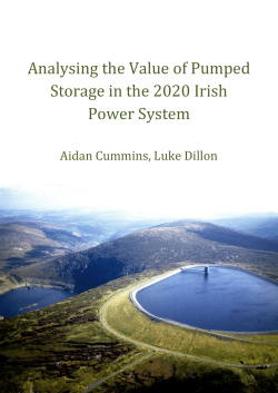 Analysing the Value of Pumped Storage in the