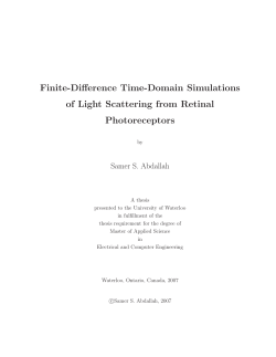 Finite-Difference Time-Domain Simulations of Light