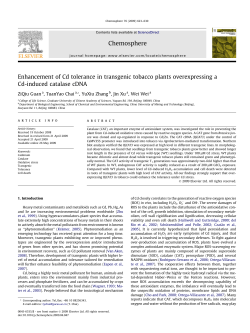 Enhancement of Cd tolerance in transgenic tobacco plants