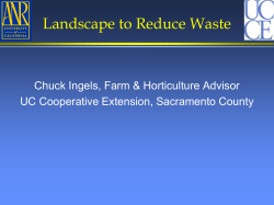 Landscape For Less Green Waste