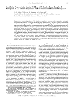 Annihilation Processes in the Isolated D1-D2-cyt