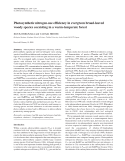 Photosynthetic nitrogen-use efficiency in evergreen broad
