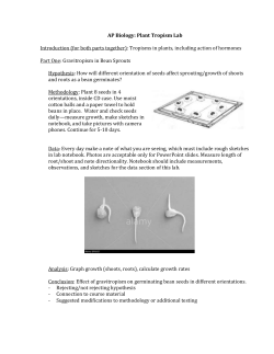 Plant Tropisms - Westford Academy Ap Bio
