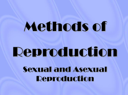 Methods of reproduction