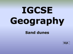 Sand dunes Biosphere Mature dunes