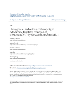 Hydrogenase- and outer membrane c-type cytochrome