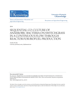 sequential co-culture of anaerobic bacteria on