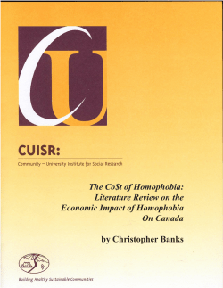 The Co$t of Homophobia: Literature Review on the Economic