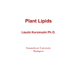 Plant Lipids