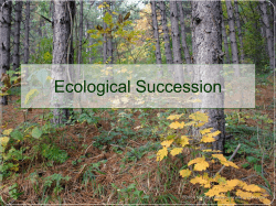 Ecological Succession