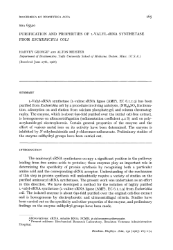Purification and properties of l-valyl