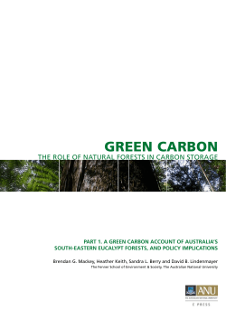 green carbon