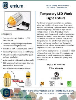 Temporary LED Work Light Fixture