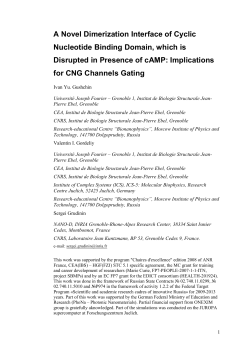 Author template for journal articles - HAL