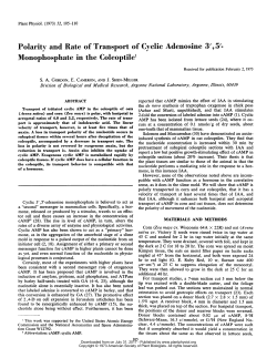 Polarity and Rate of Transport of Cyclic