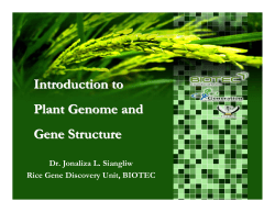 Introduction to Plant Genome and Gene Structure