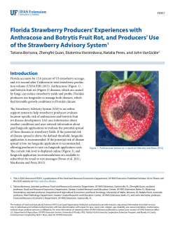 Florida Strawberry Producers` Experiences with