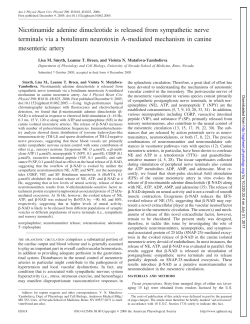 Nicotinamide adenine dinucleotide is released from sympathetic