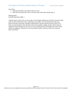 File 2 (presentation handout)