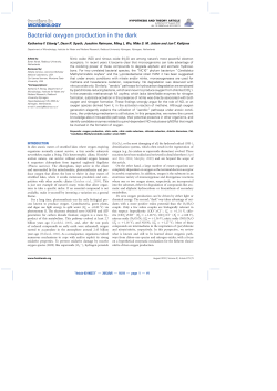 Bacterial oxygen production in the dark