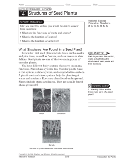 untitled - American Academy