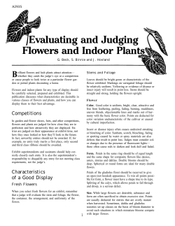 Evaluating and Judging Flowers and Indoor Plants
