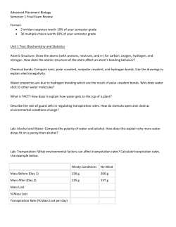 Semester 1 Final Exam Review Semester 1 Final Exam Review
