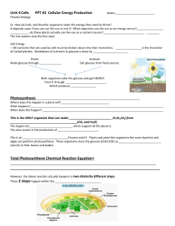 GN PPT2 Cellular Energy Photosynthesis