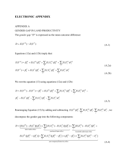 electronic appendix