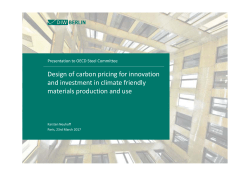 Design of carbon pricing for innovation and investment