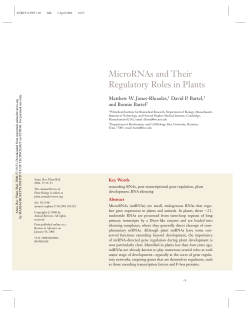 Annu. Rev. Plant. Biol. - Bartel Lab