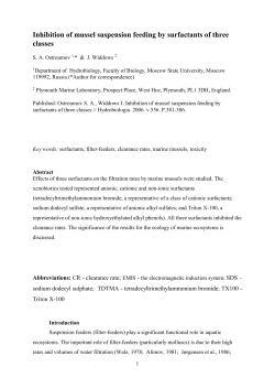 Abstract - Google Sites