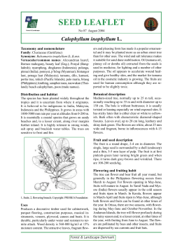 seed leaflet - Danida Forest Seed Centre (DFSC)