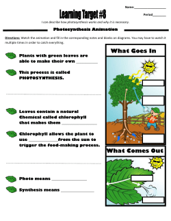 Photosynthesis Review Sheet