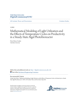 Mathematical Modeling of Light Utilization and the Effects of