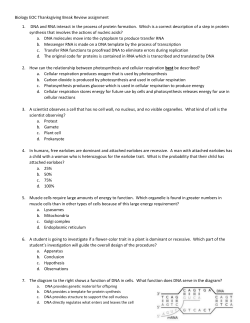 EOC Practice Review Packet- Thanksgiving